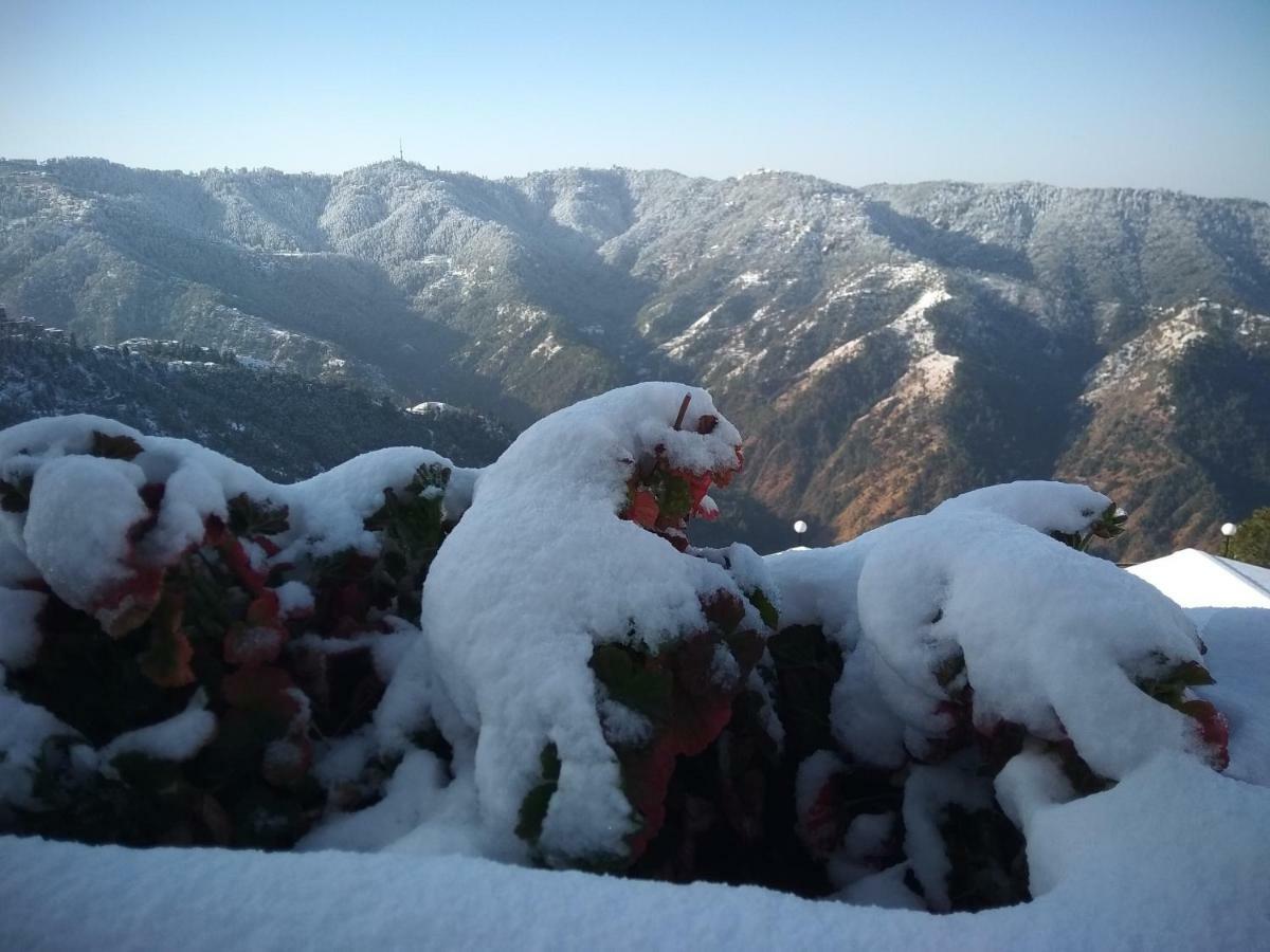 Spangle Heights Shimla, Suites And Residences Ngoại thất bức ảnh