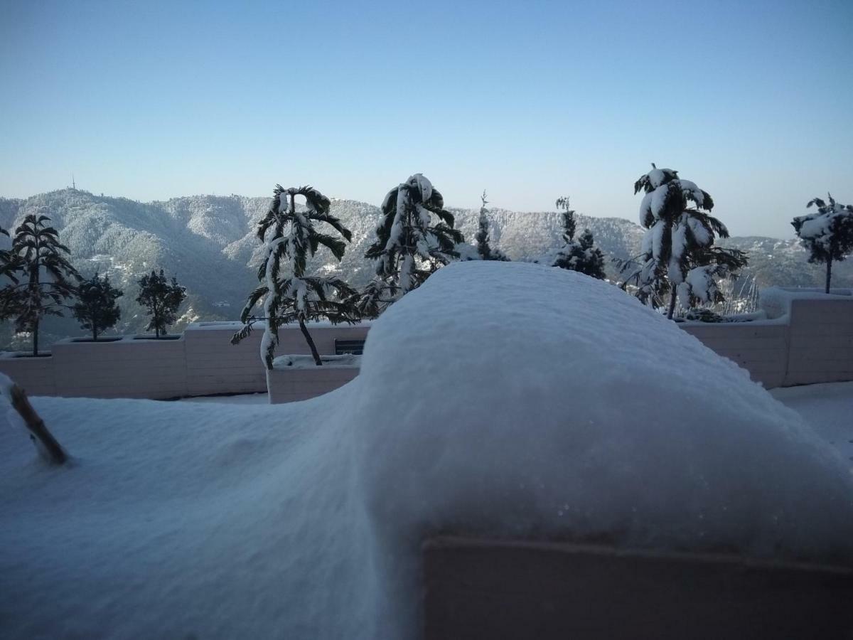 Spangle Heights Shimla, Suites And Residences Ngoại thất bức ảnh
